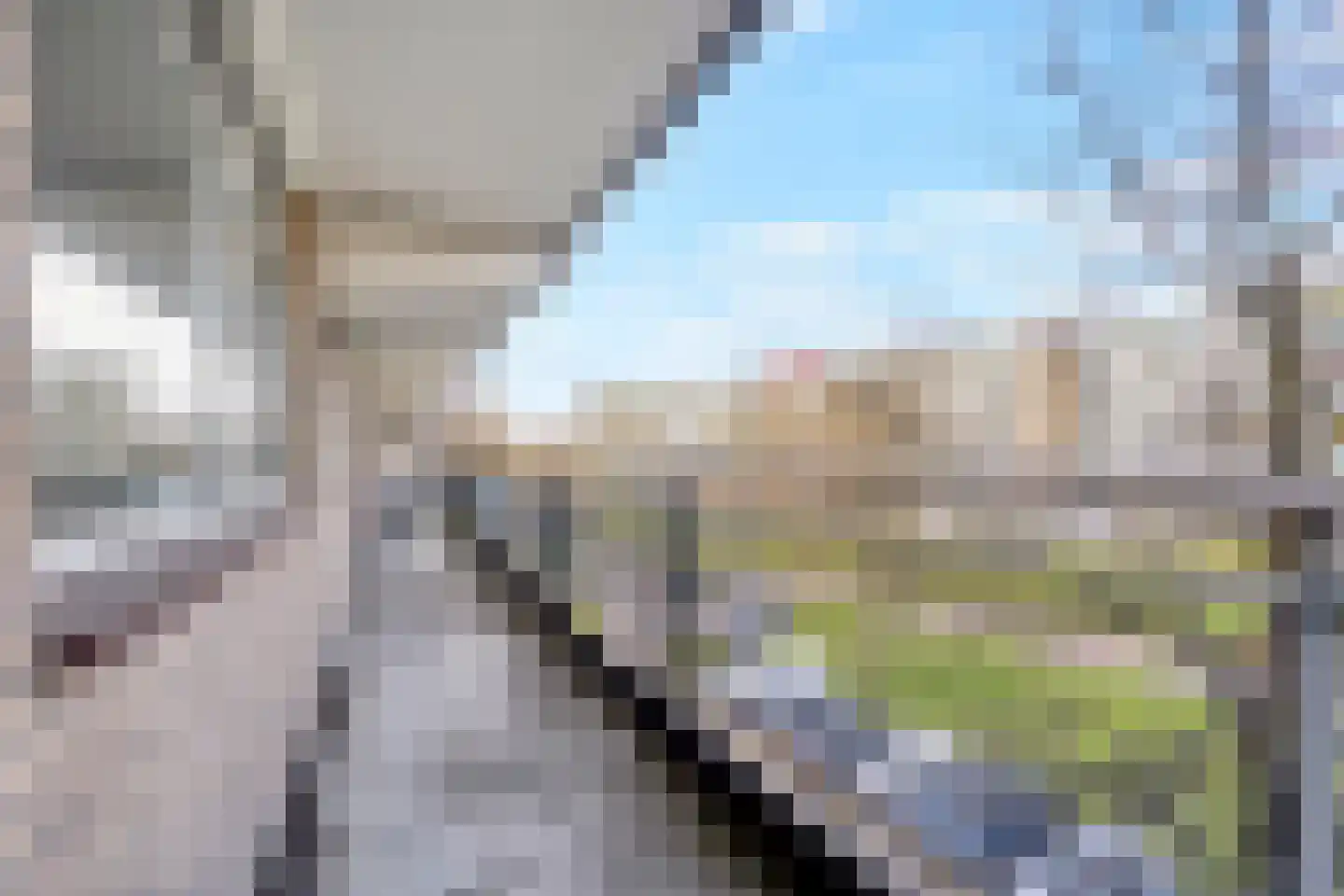 Dunantstraat 314 Zoetermeer thumbnail 12
