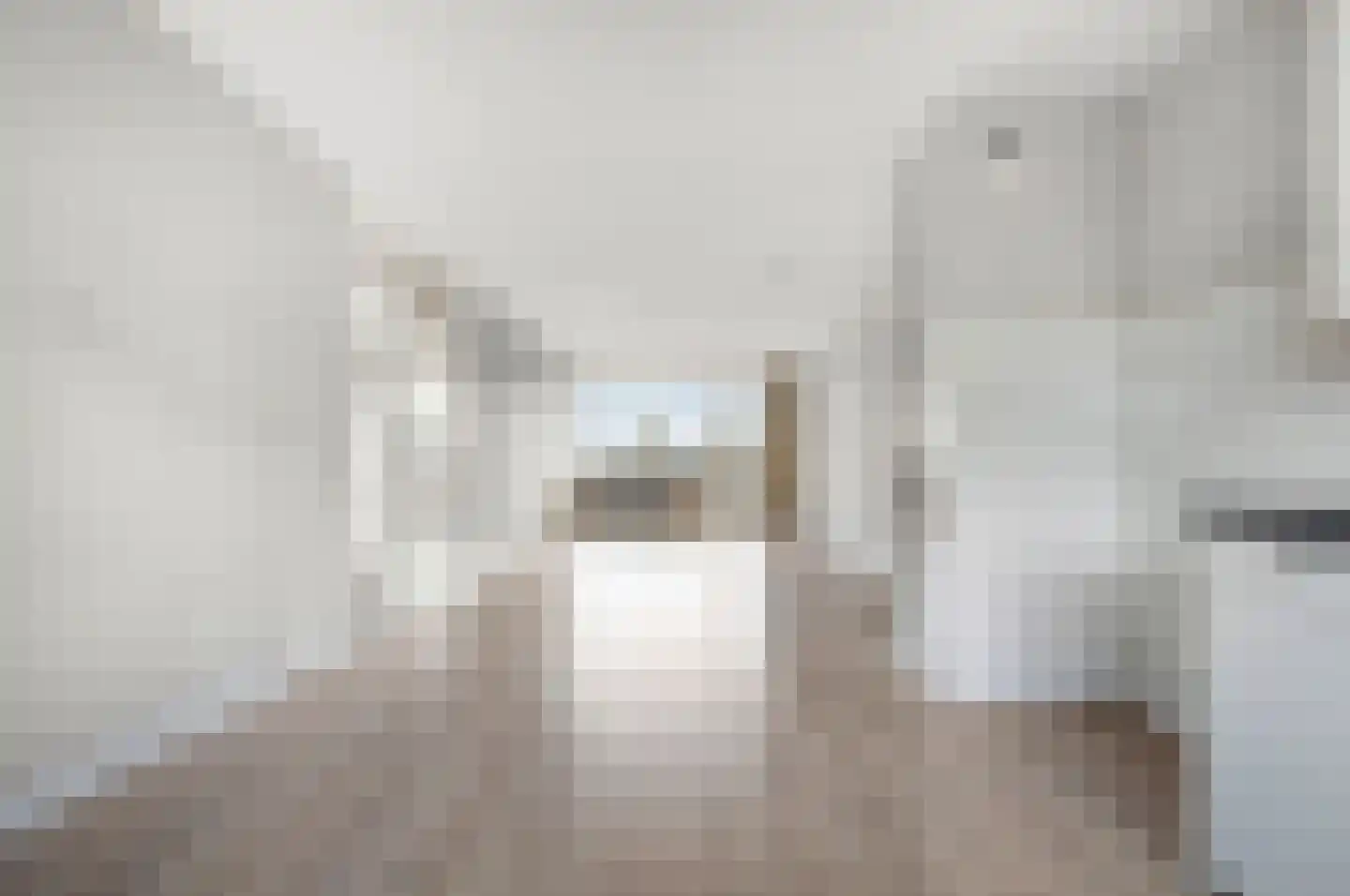 Dunantstraat 314 Zoetermeer thumbnail 18