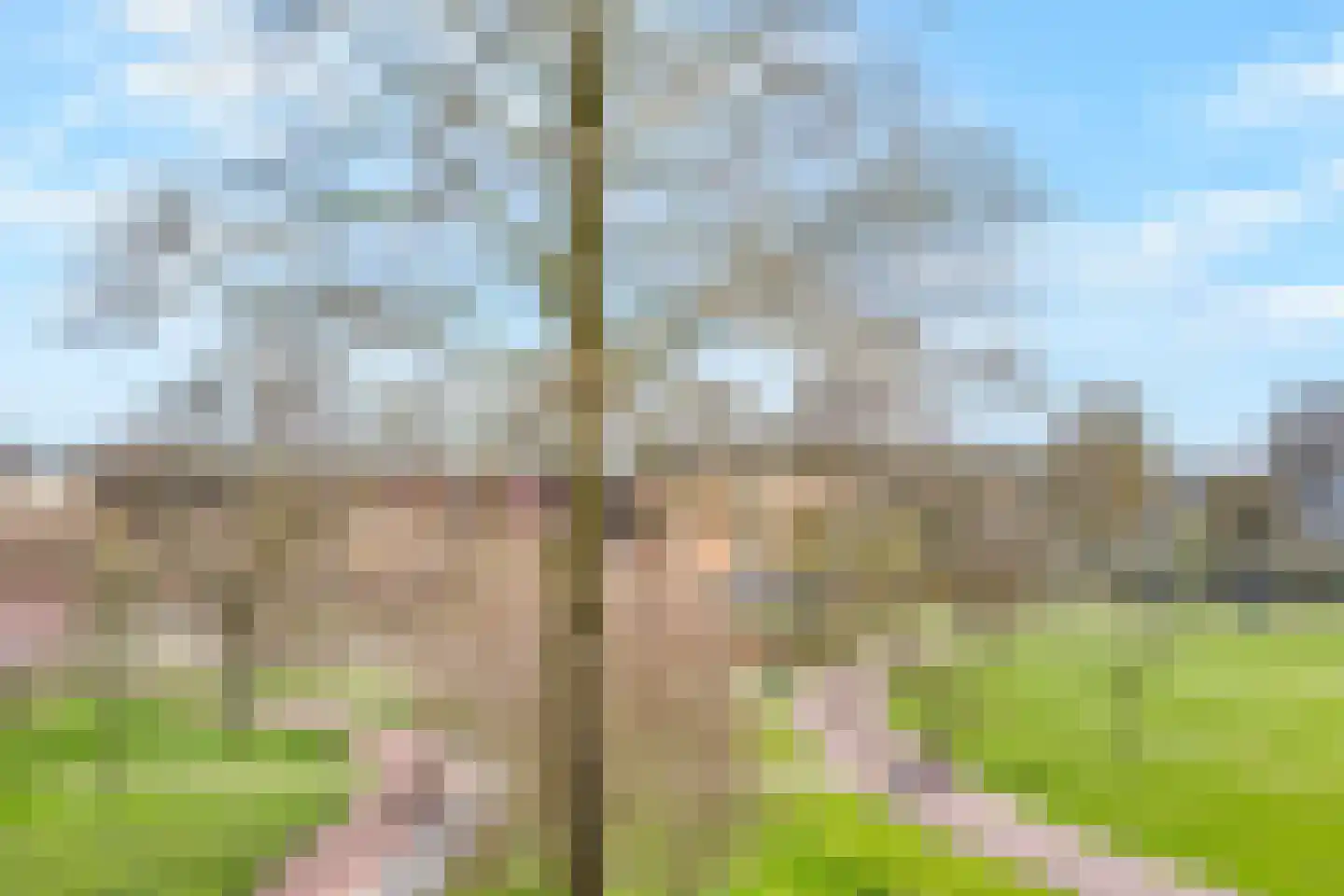 Dunantstraat 314 Zoetermeer thumbnail 24