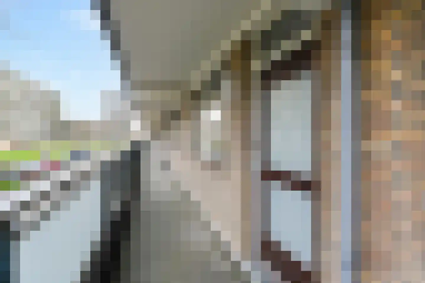 Dunantstraat 32 Zoetermeer thumbnail 10