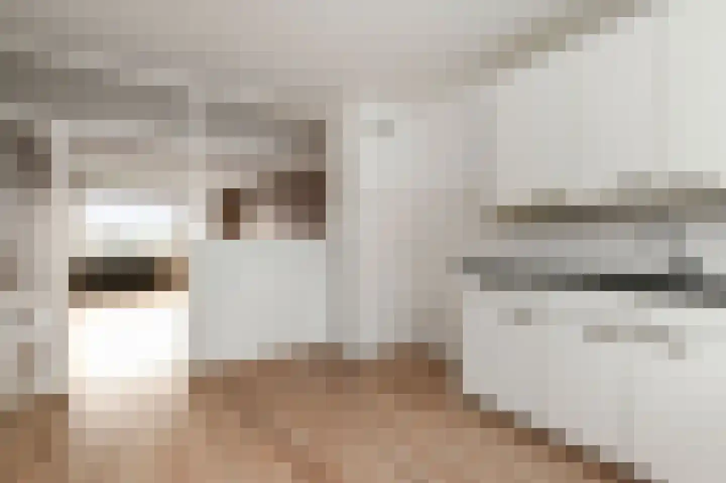 Dunantstraat 32 Zoetermeer thumbnail 21