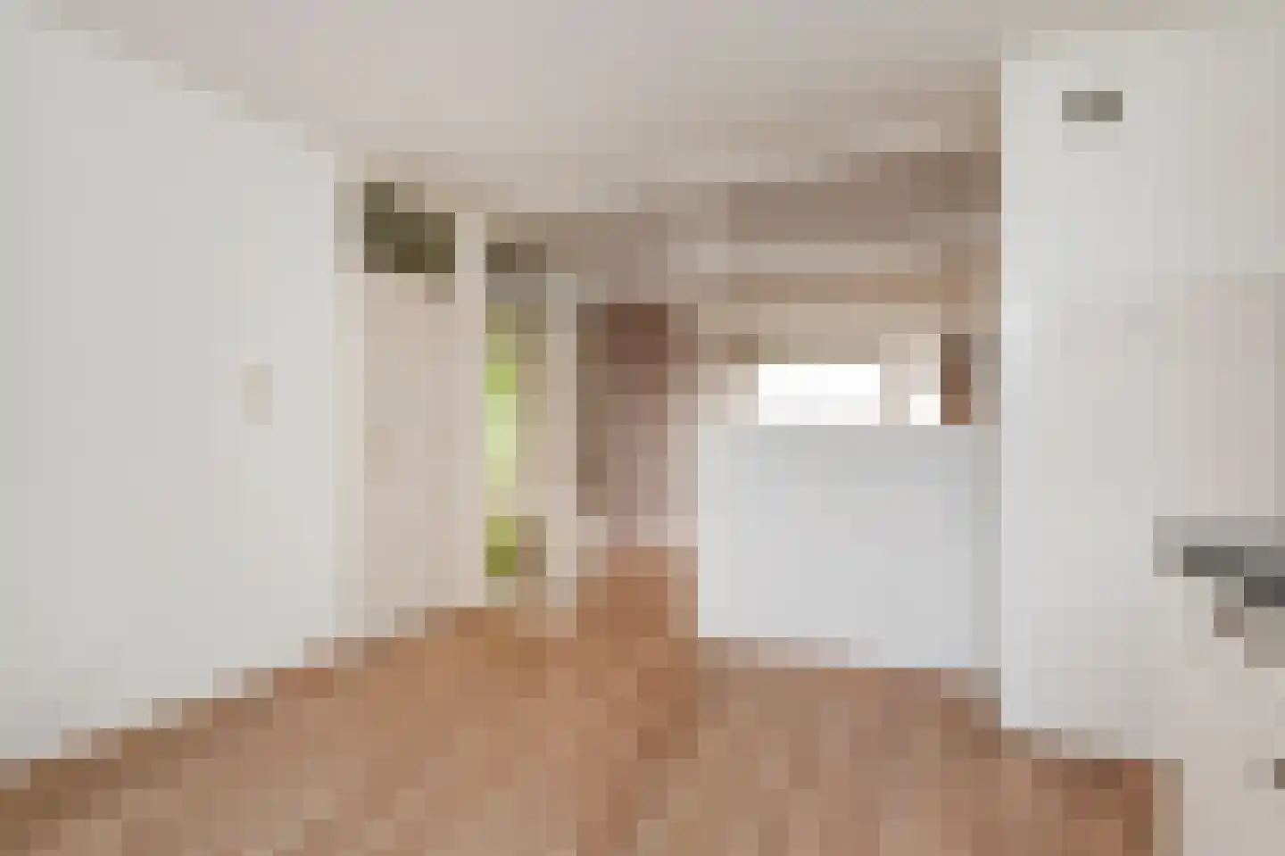 Dunantstraat 32 Zoetermeer thumbnail 22