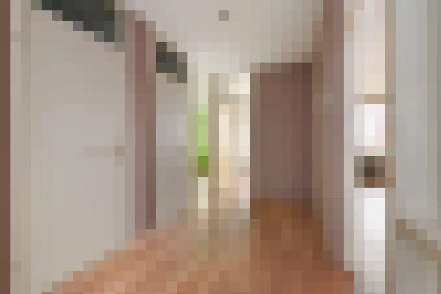 Dunantstraat 32 Zoetermeer thumbnail 23