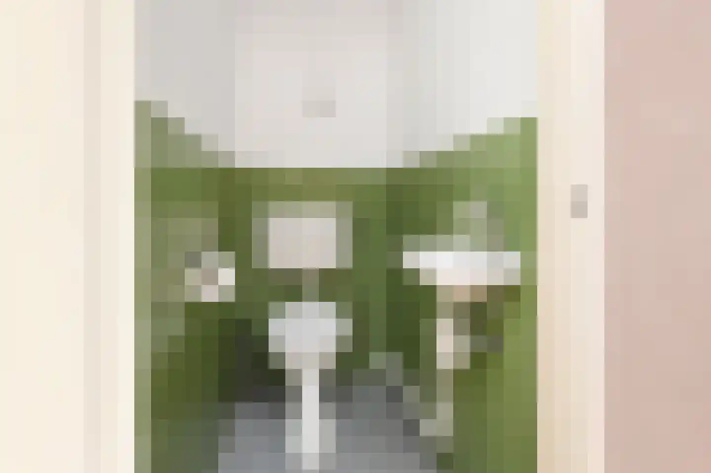 Dunantstraat 32 Zoetermeer thumbnail 25