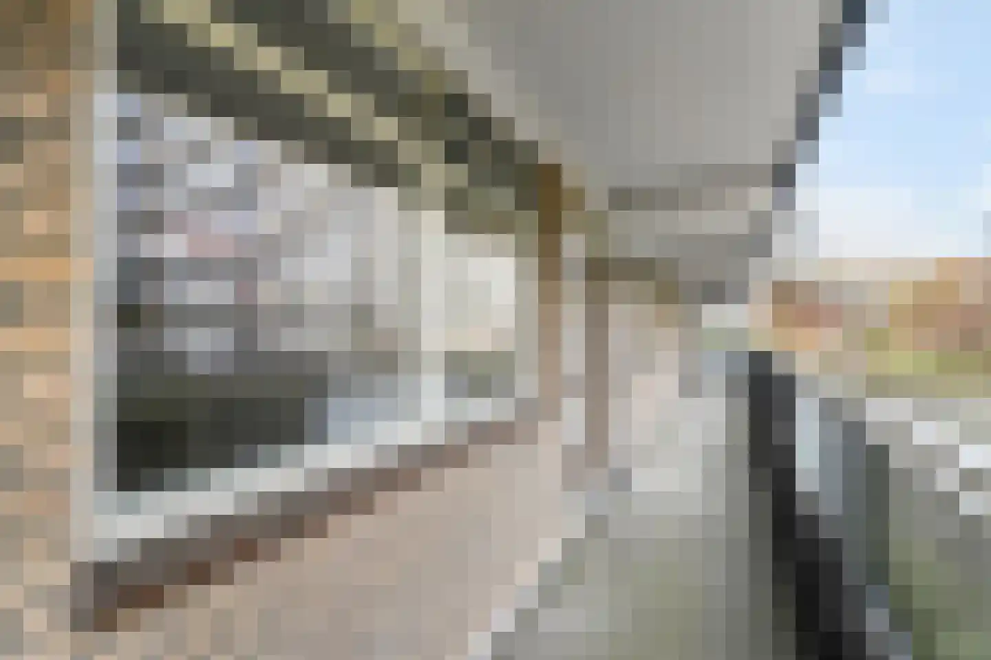 Dunantstraat 32 Zoetermeer thumbnail 9