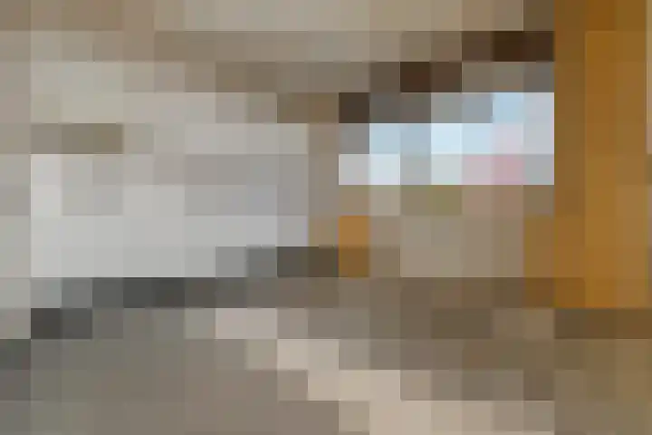 Dunantstraat 328 Zoetermeer thumbnail 18