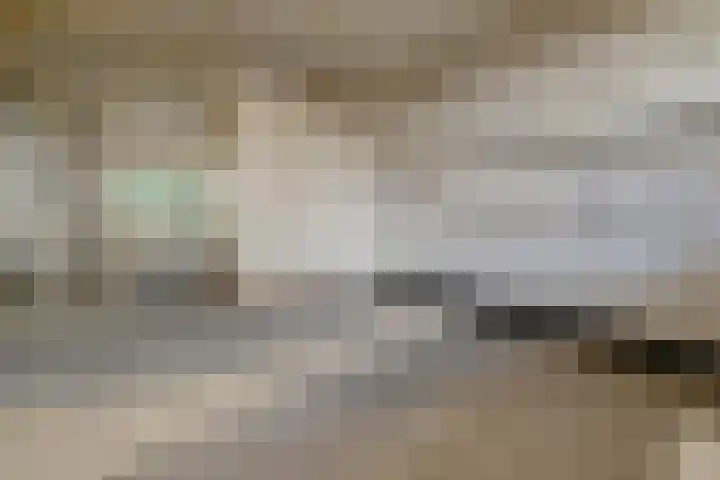 Dunantstraat 328 Zoetermeer thumbnail 21