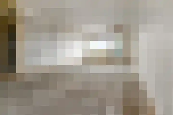 Dunantstraat 328 Zoetermeer thumbnail 22