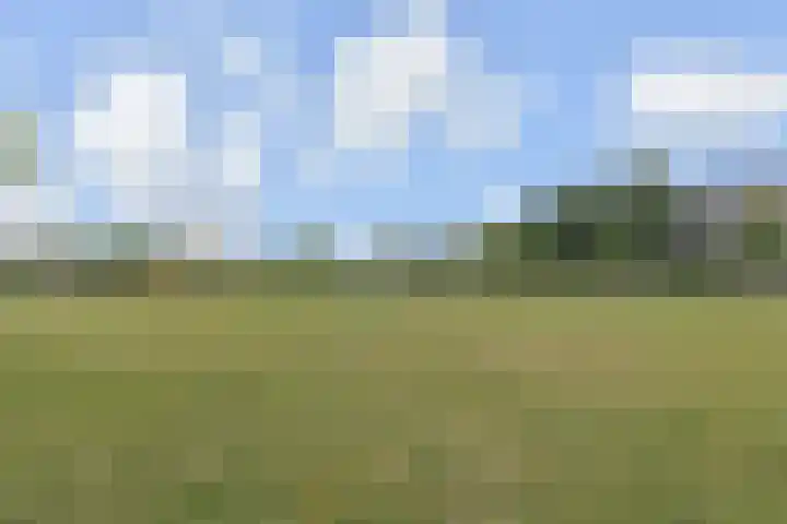 Dunantstraat 328 Zoetermeer thumbnail 45