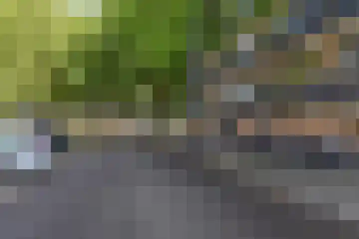 Dunantstraat 328 Zoetermeer thumbnail 7