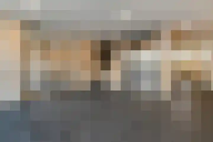 Dunantstraat 328 Zoetermeer thumbnail 9