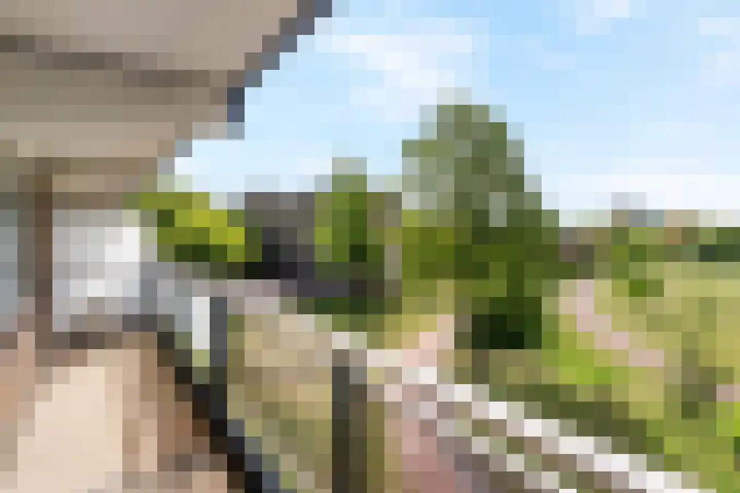 Dunantstraat 334 Zoetermeer thumbnail 13