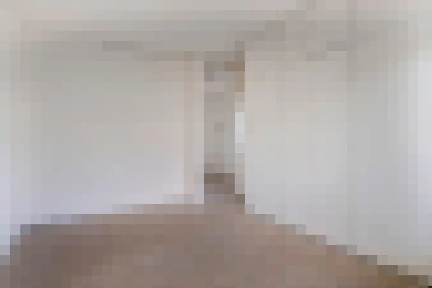 Dunantstraat 334 Zoetermeer thumbnail 21