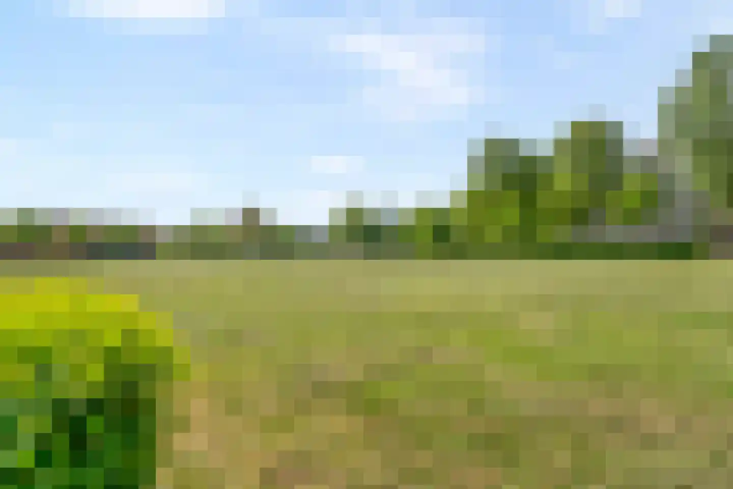 Dunantstraat 334 Zoetermeer thumbnail 31