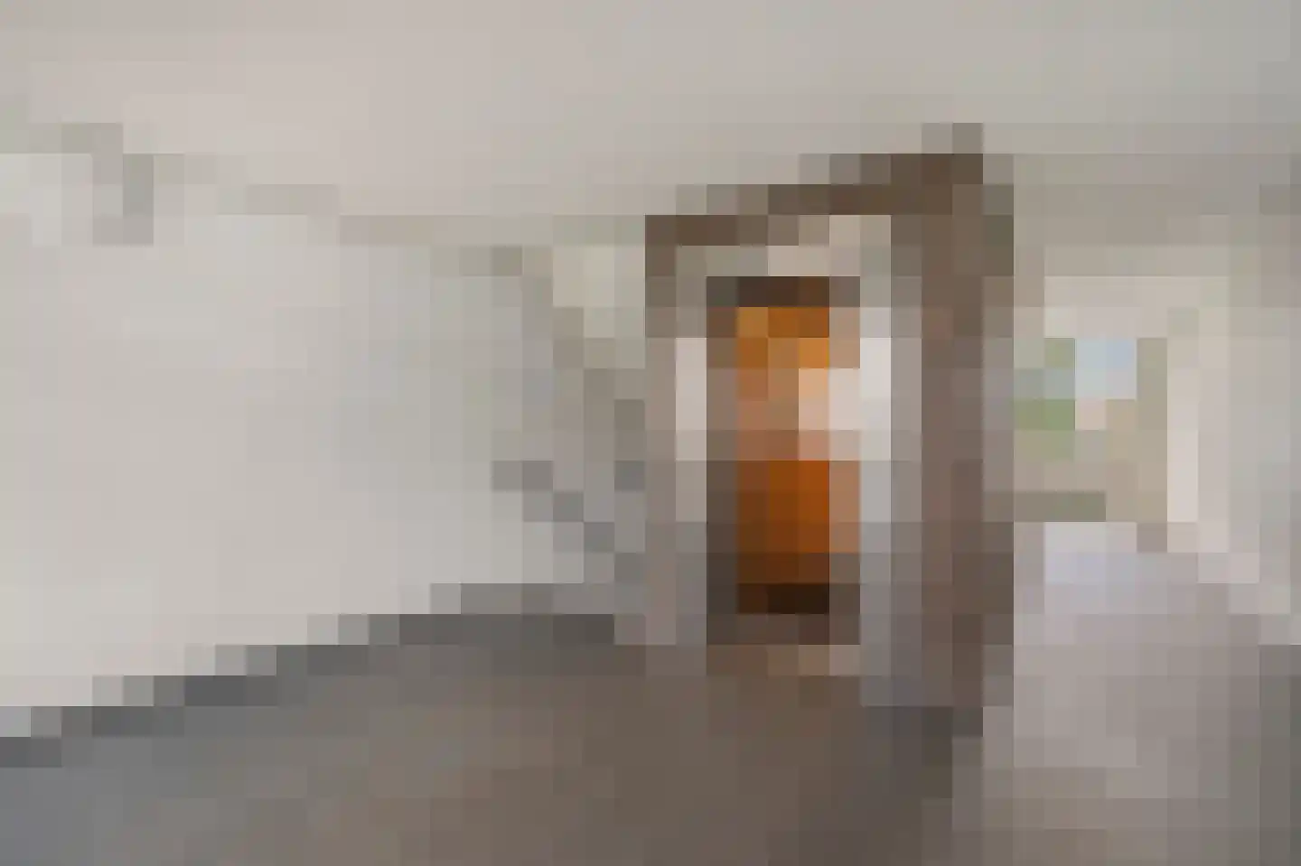 Dunantstraat 334 Zoetermeer thumbnail 7