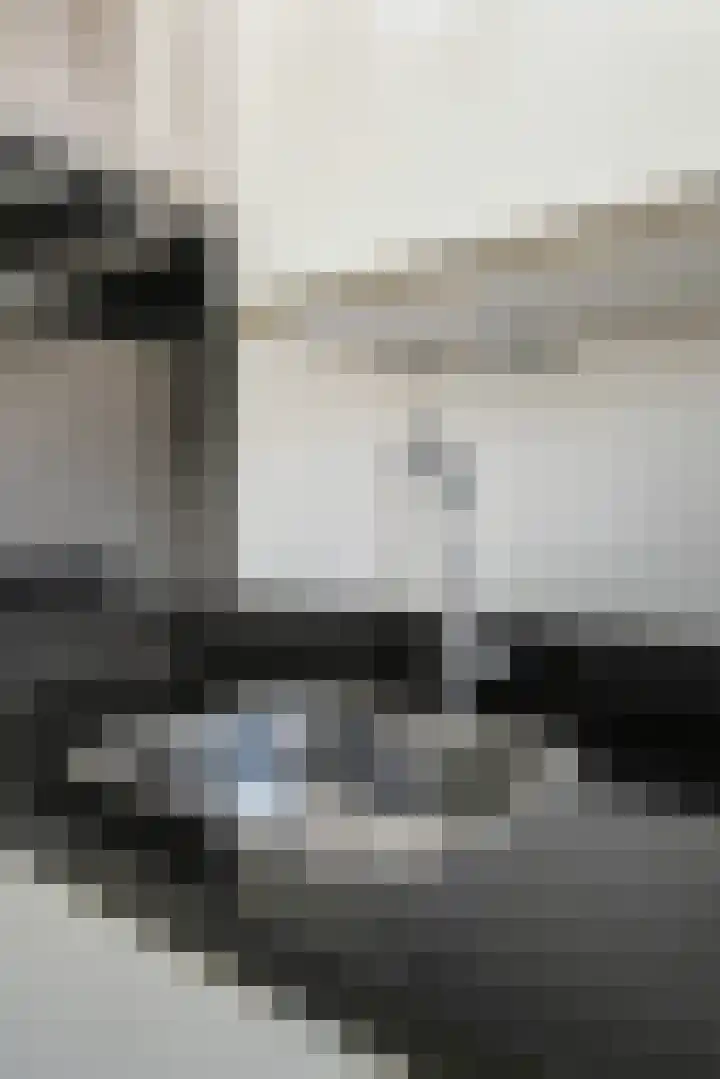 Dunantstraat 364 Zoetermeer thumbnail 17