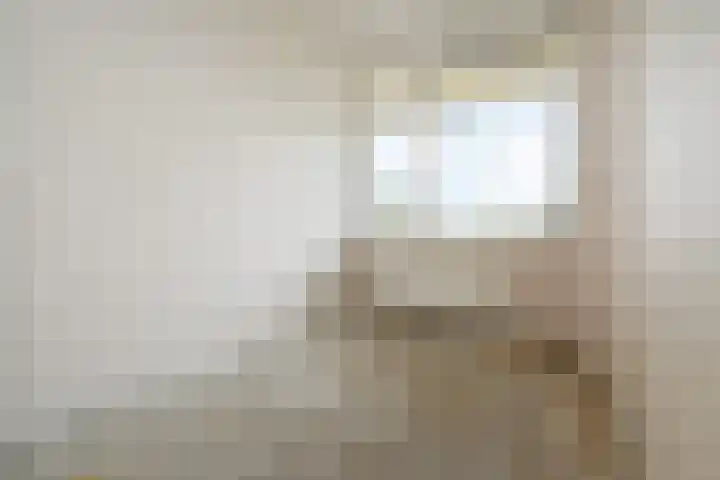 Dunantstraat 364 Zoetermeer thumbnail 30
