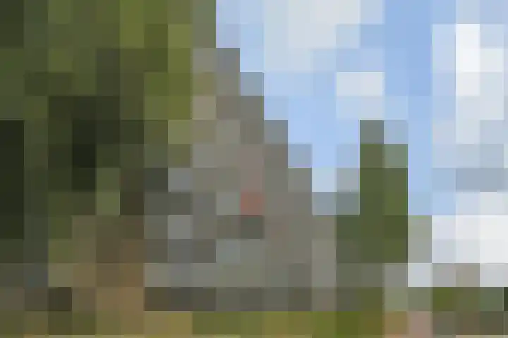 Dunantstraat 364 Zoetermeer thumbnail 5