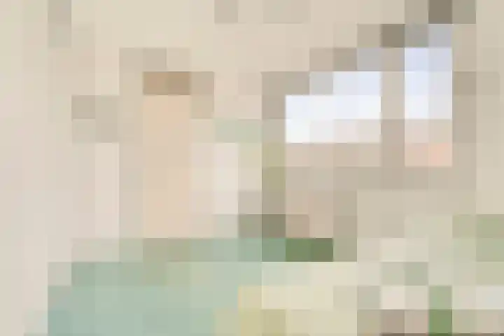 Dunantstraat 38 Hoofddorp thumbnail 23