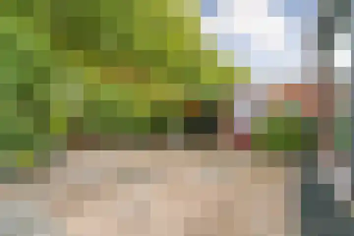 Dunantstraat 38 Hoofddorp thumbnail 34