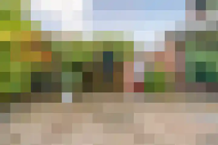 Dunantstraat 38 Hoofddorp thumbnail 36