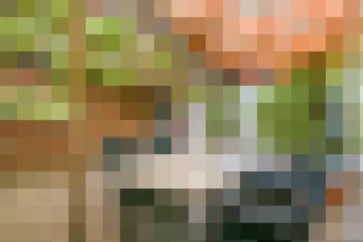 Dunantstraat 38 Hoofddorp thumbnail 38