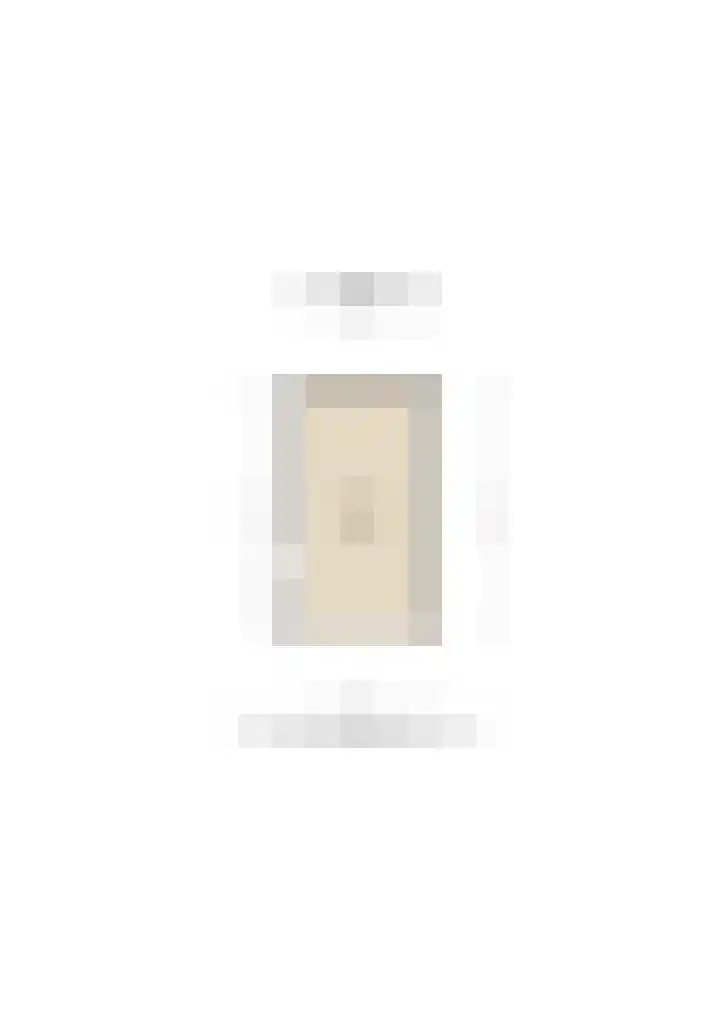 Dunantstraat 38 Hoofddorp thumbnail 48