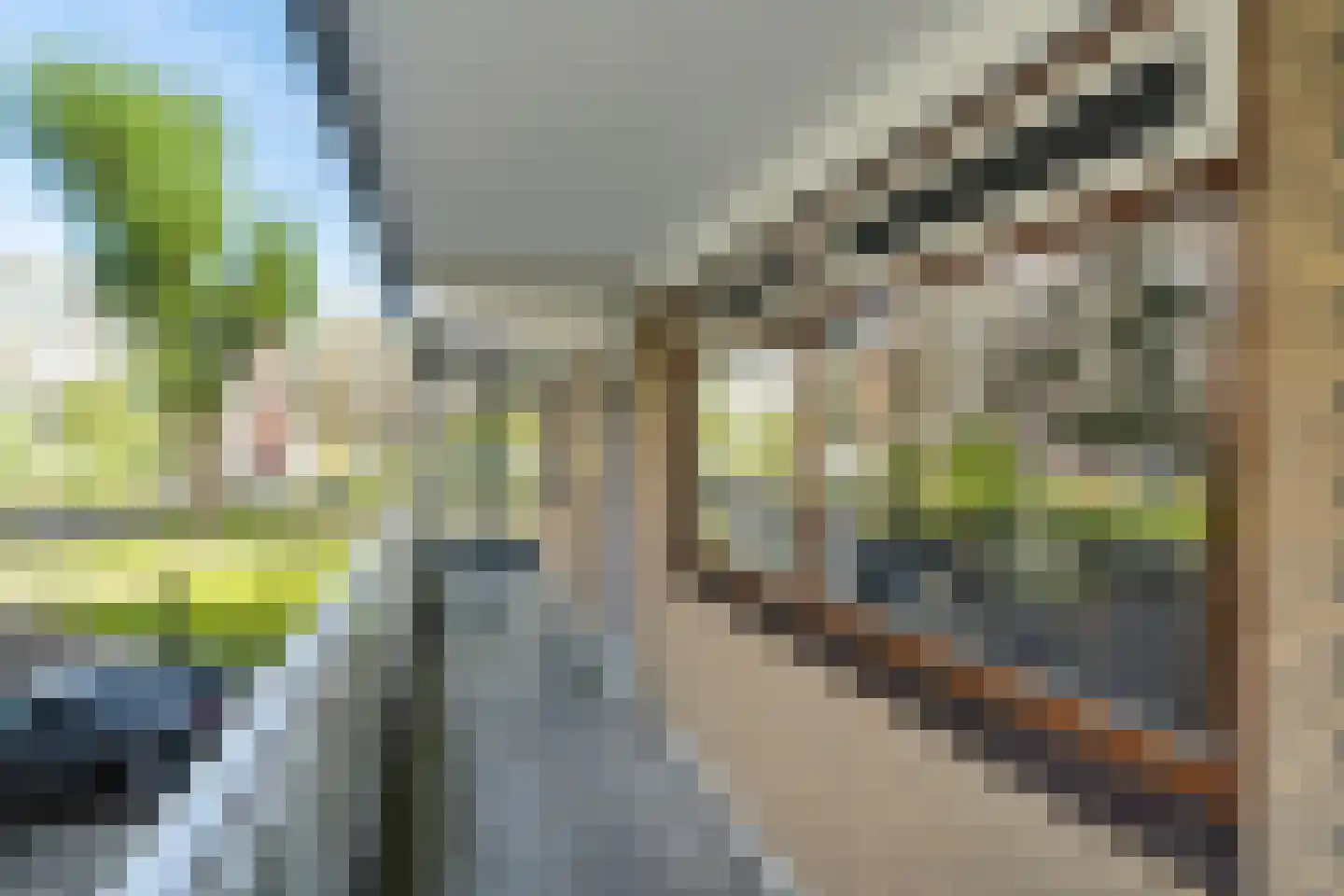 Dunantstraat 390 Zoetermeer thumbnail 17