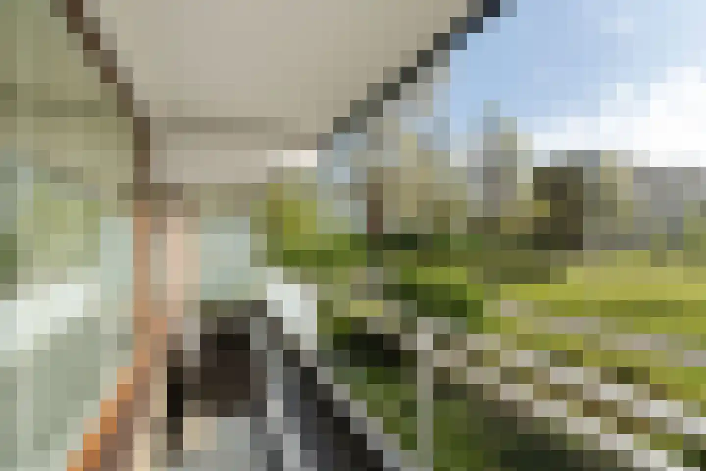 Dunantstraat 390 Zoetermeer thumbnail 34