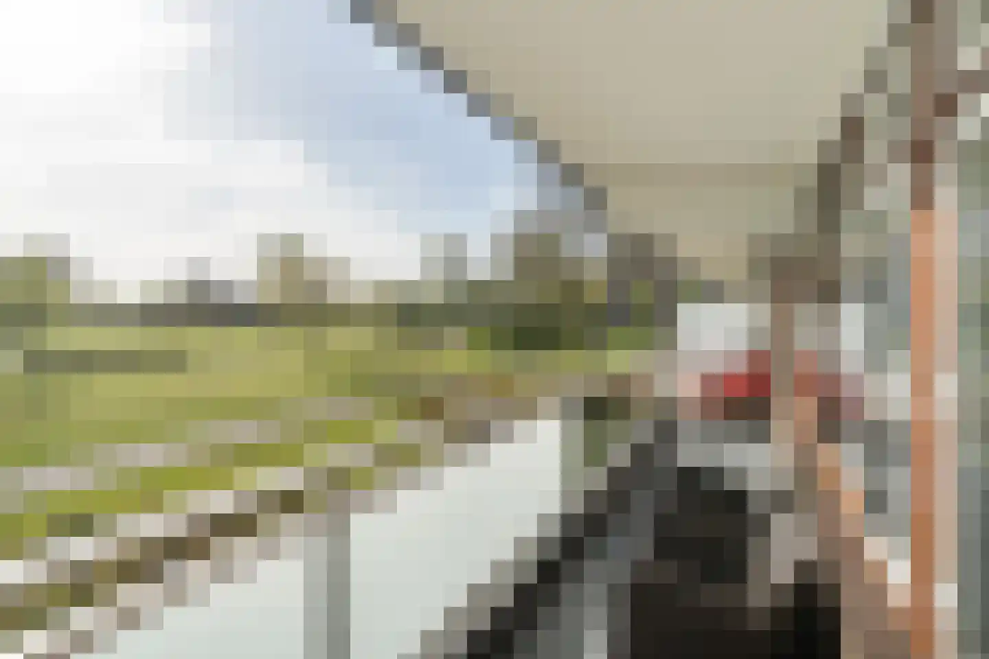 Dunantstraat 390 Zoetermeer thumbnail 36