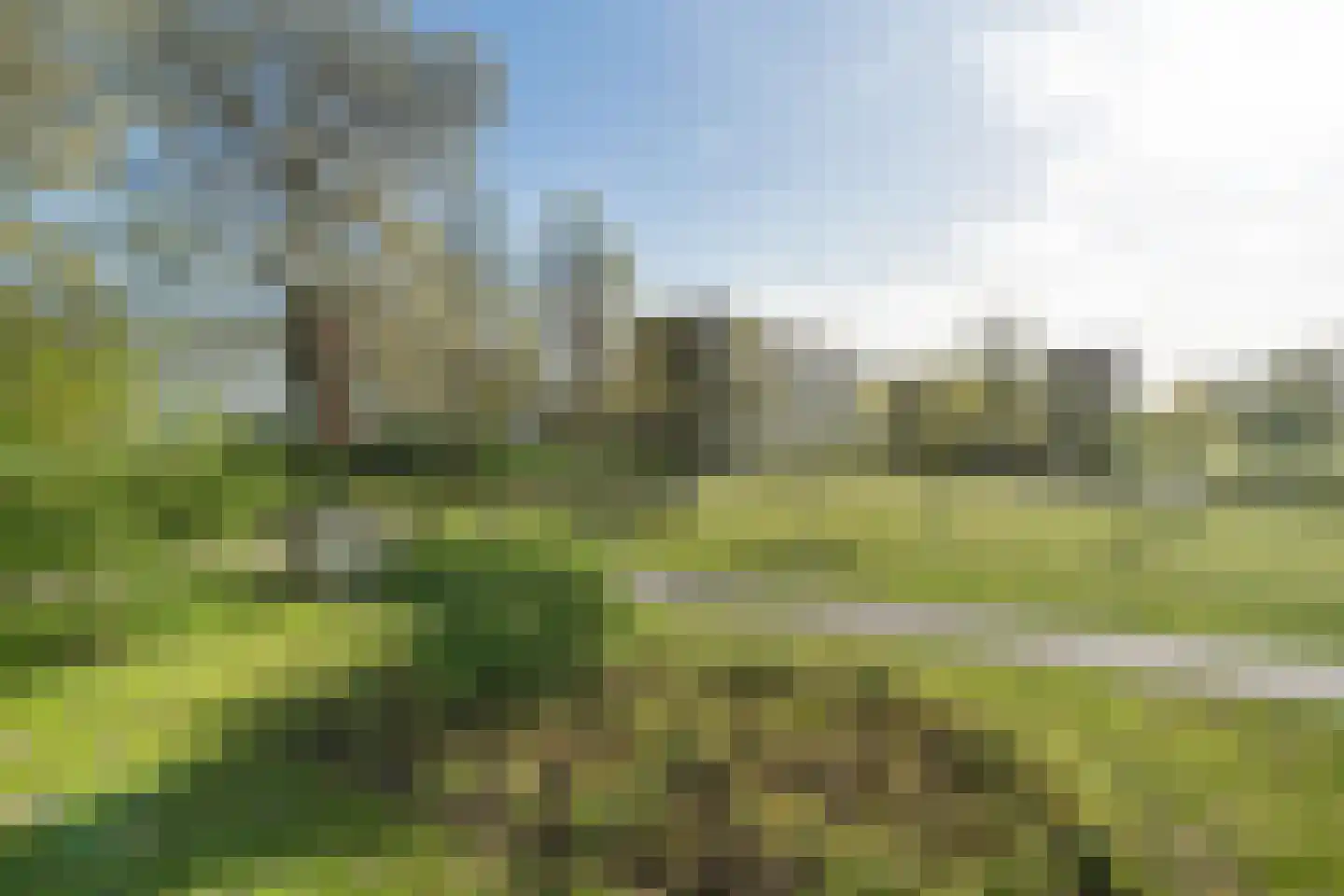 Dunantstraat 390 Zoetermeer thumbnail 38