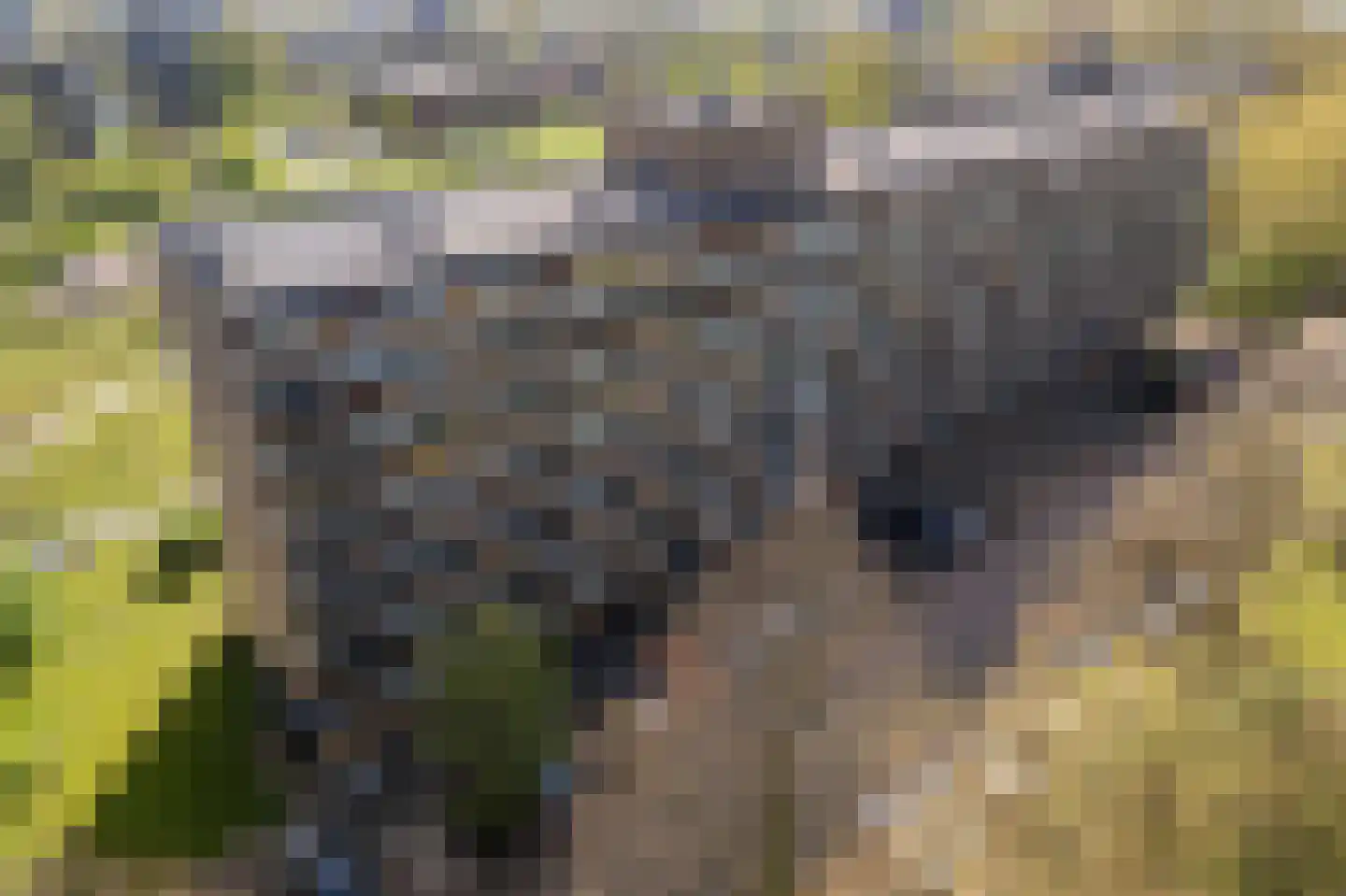 Dunantstraat 390 Zoetermeer thumbnail 5