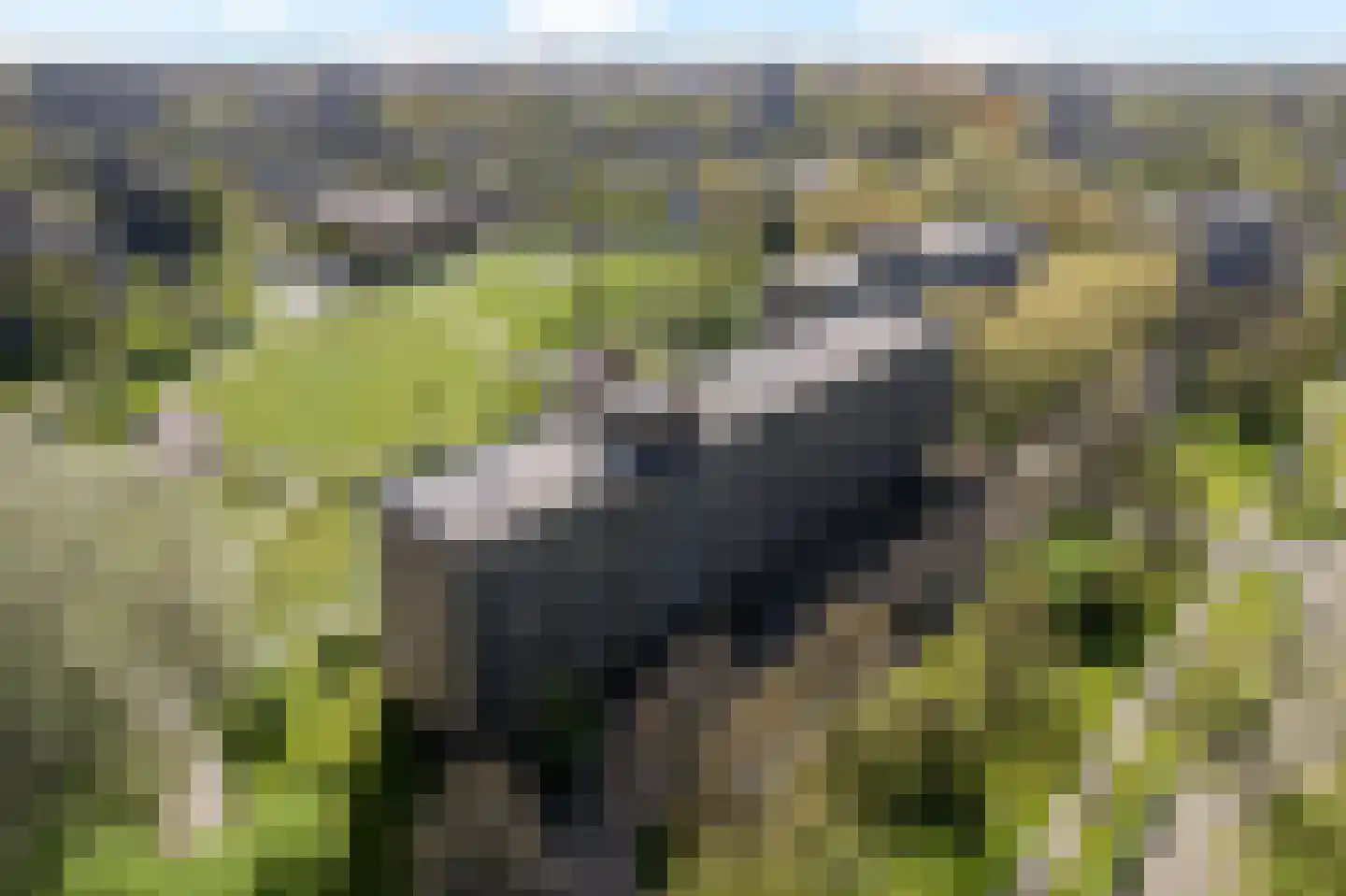 Dunantstraat 390 Zoetermeer thumbnail 6