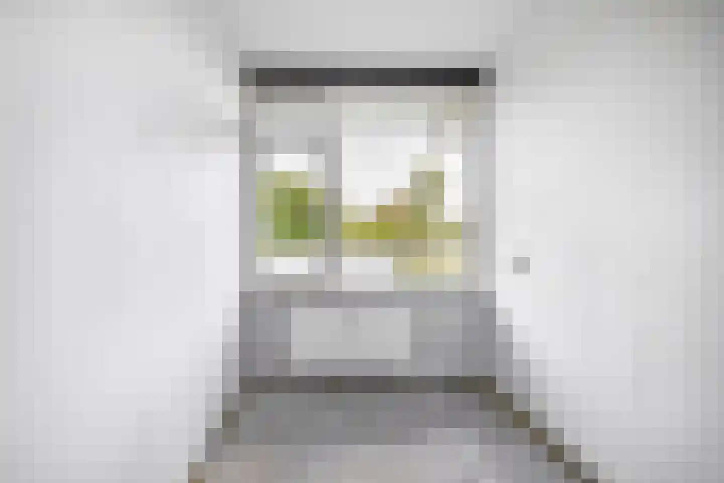 Dunantstraat 394 Zoetermeer thumbnail 28
