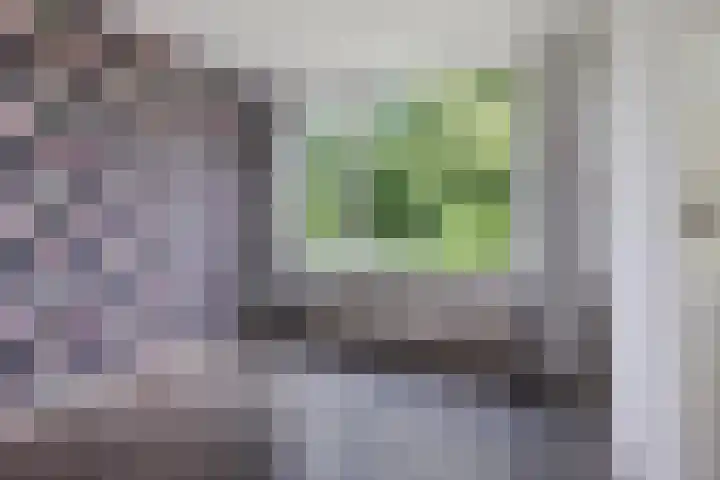 Dunantstraat 4 Assen thumbnail 26