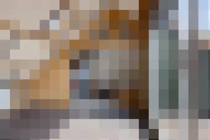 Dunantstraat 4 Assen thumbnail 33