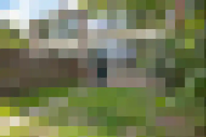 Dunantstraat 4 Assen thumbnail 38