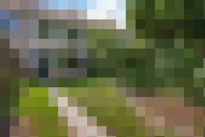 Dunantstraat 4 Assen thumbnail 39