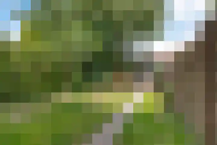 Dunantstraat 4 Assen thumbnail 40