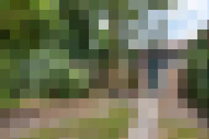 Dunantstraat 4 Assen thumbnail 41
