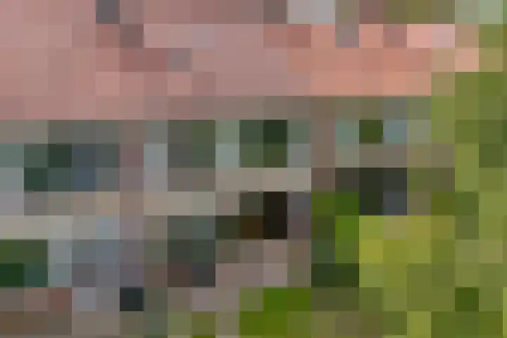 Dunantstraat 4 Assen thumbnail 42