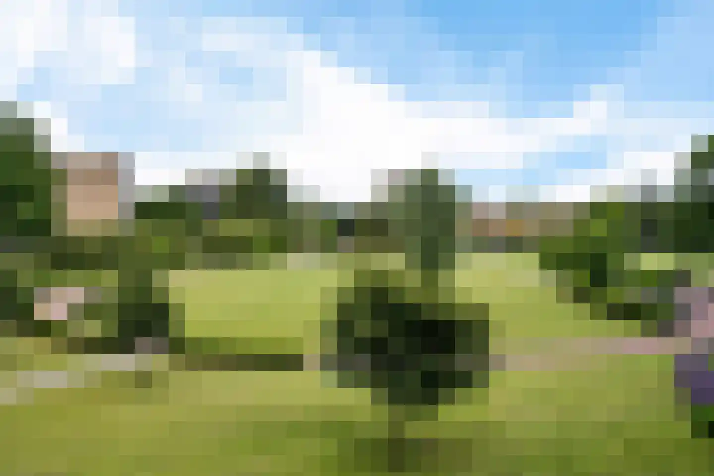 Dunantstraat 426 Zoetermeer thumbnail 34