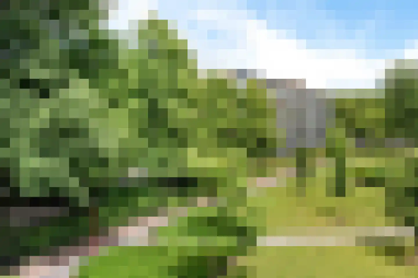 Dunantstraat 426 Zoetermeer thumbnail 35