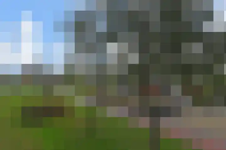 Dunantstraat 50 Zoetermeer thumbnail 23