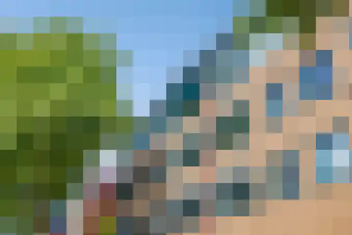 Dunantstraat 51 Roosendaal thumbnail 26