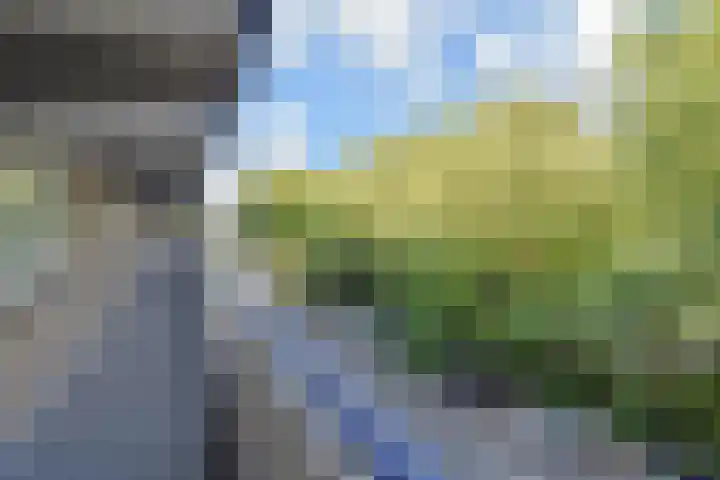 Dunantstraat 550 Zoetermeer thumbnail 10
