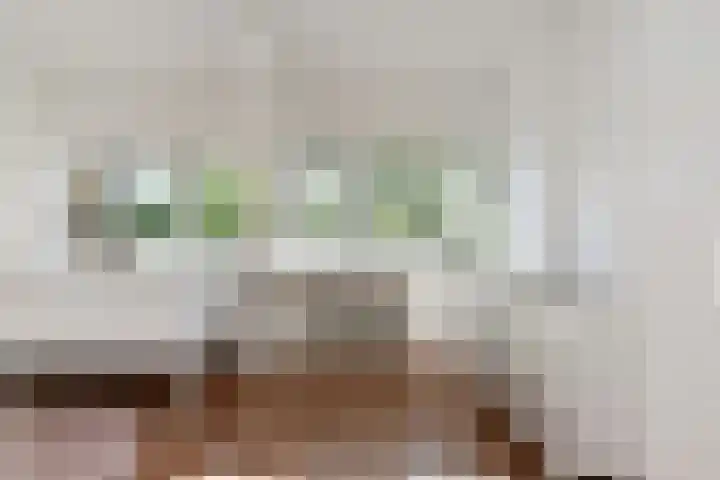 Dunantstraat 550 Zoetermeer thumbnail 18