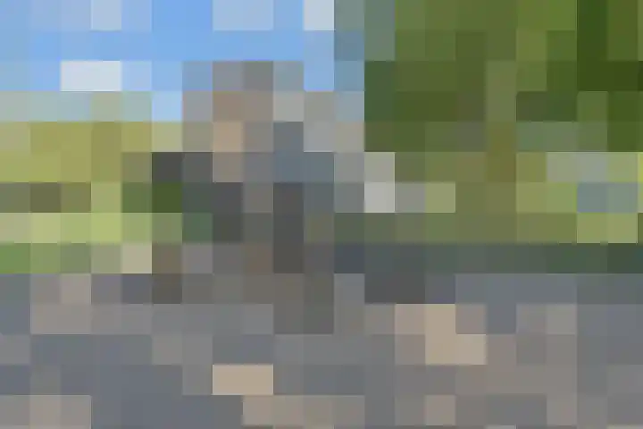 Dunantstraat 550 Zoetermeer thumbnail 30