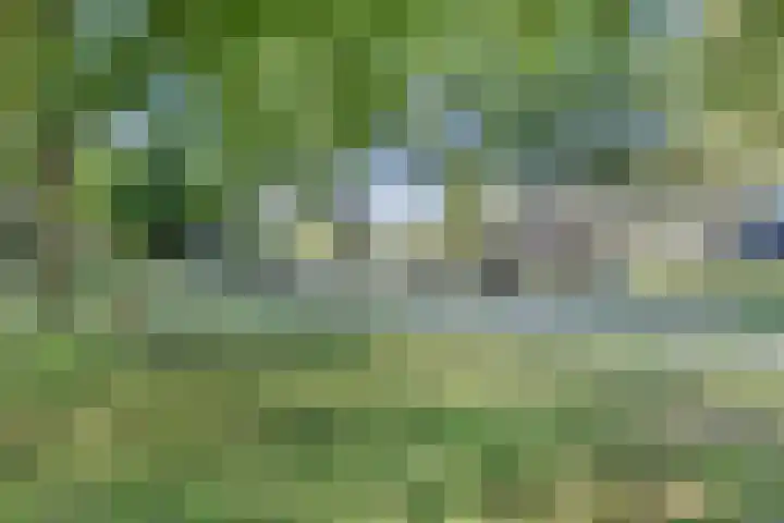 Dunantstraat 550 Zoetermeer thumbnail 31