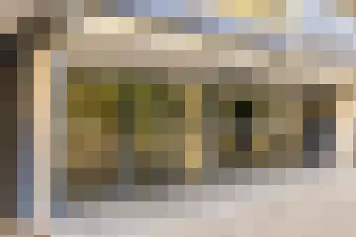 Dunantstraat 552 Zoetermeer thumbnail 7